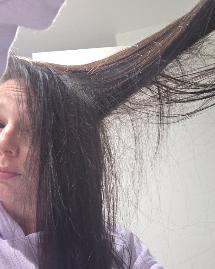 Backlit photo showing new baby hair growth standing up along my part